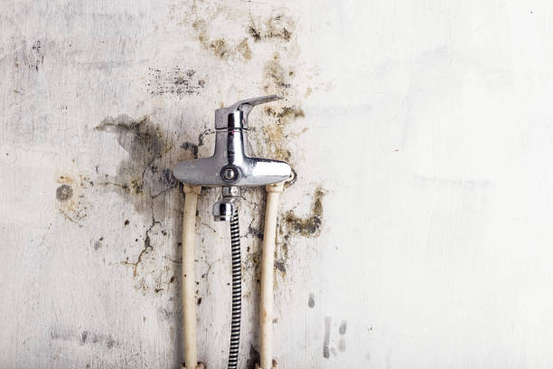 Best Emergency Mold Removal  in Orangevale, CA