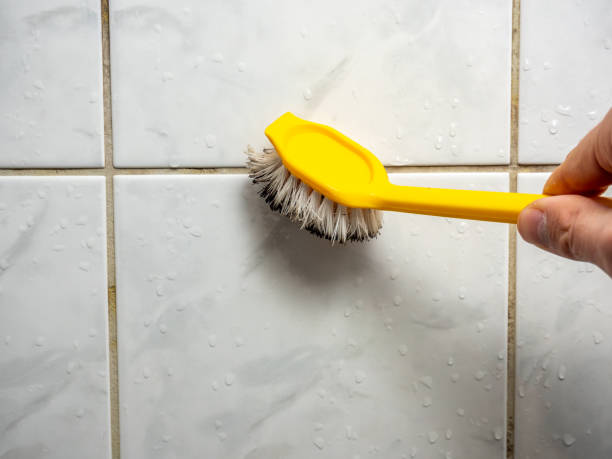 Best Mold Remediation Experts  in Orangevale, CA
