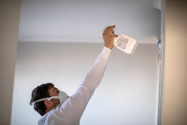 Attic Mold Removal in Orangevale, CA