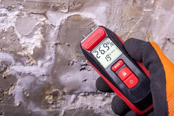 Best Mold Remediation  in Orangevale, CA