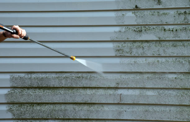 Best Attic Mold Removal  in Orangevale, CA