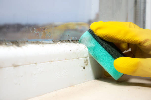 Best Mold Testing  in Orangevale, CA